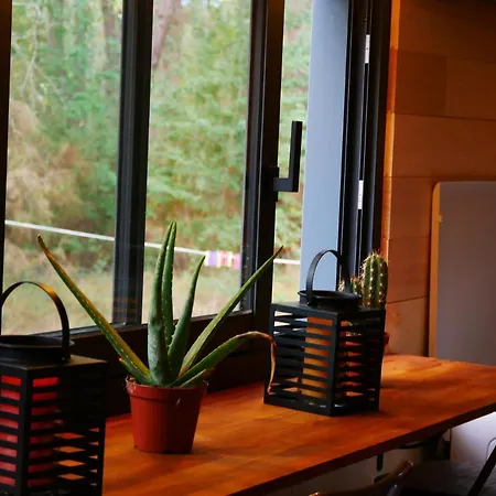 Tiny House Nouvelle Annonce Boho Ocean Camping *