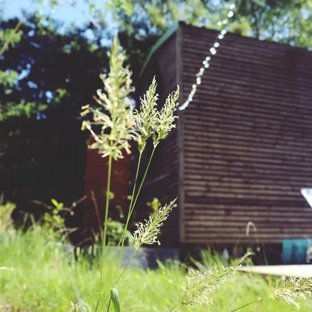 Campsite Tiny House Nouvelle Annonce Boho Ocean